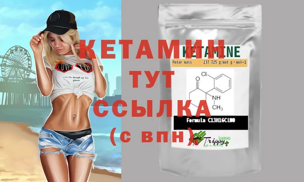 скорость Ельня