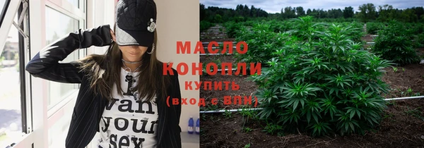 скорость Ельня
