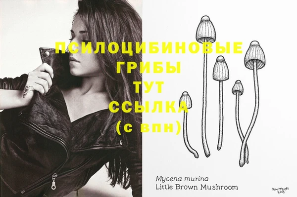 каннабис Дмитров