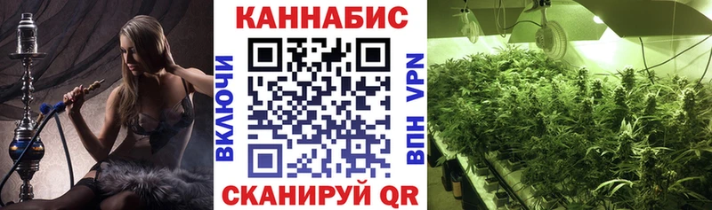 Бошки Шишки AK-47  Купить закладки  Хотьково 